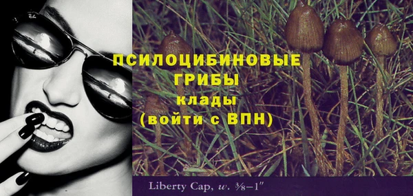 дурь Алексеевка
