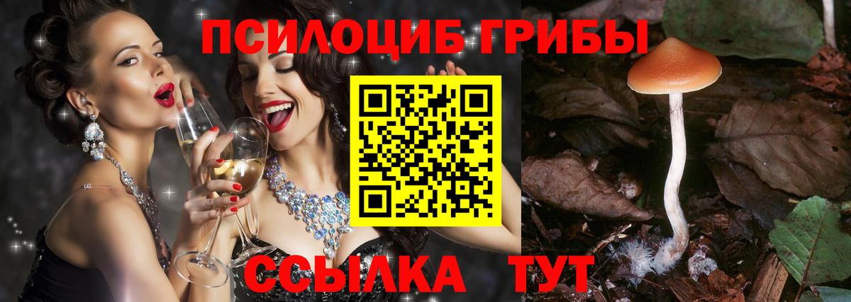 Галлюциногенные грибы Psilocybe  Псилоцибиновые грибы GOLDEN TEACHER  сколько стоит  Вход с VPN  Всеволожск 